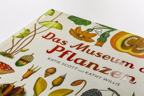 Produktbild: Das Museum der Pflanzen