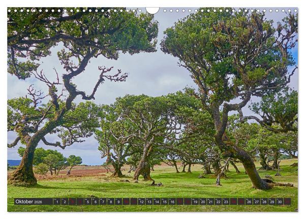 Produktbild: Madeira - Juwel im Atlantik (Wandkalender 2026 DIN A3 quer), CALVENDO Monatskalender