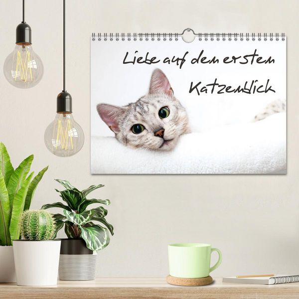 Produktbild: Liebe auf den ersten Katzenblick (Wandkalender 2026 DIN A4 quer), CALVENDO Monatskalender