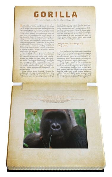 Produktbild: Safari