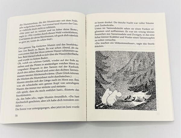 Produktbild: Die Mumins (5). Sturm im Mumintal