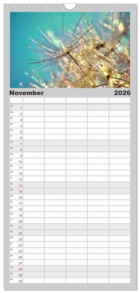 Produktbild: Familienplaner 2026 - Naturjuwel Pusteblume mit 5 Spalten (Wandkalender, 21 x 45 cm) CALVENDO