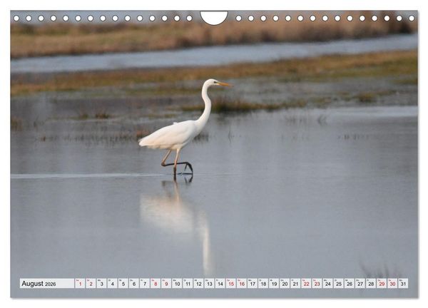 Produktbild: Hochwasser als Teil der Umwelt (Wandkalender 2026 DIN A4 quer), CALVENDO Monatskalender