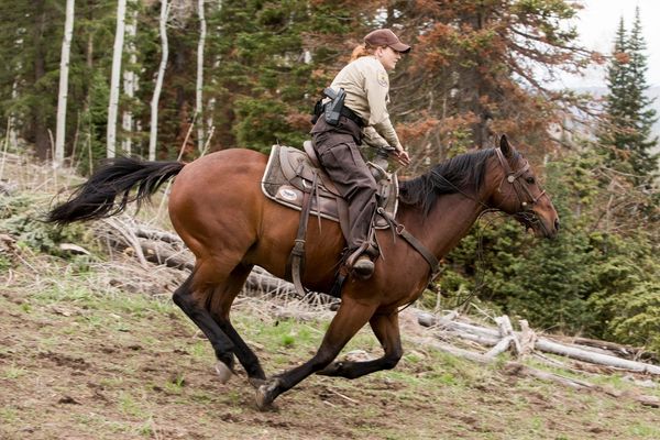 Produktbild: Yellowstone - Staffel 1 (+ Bonus-DVD) [3 DVDs]