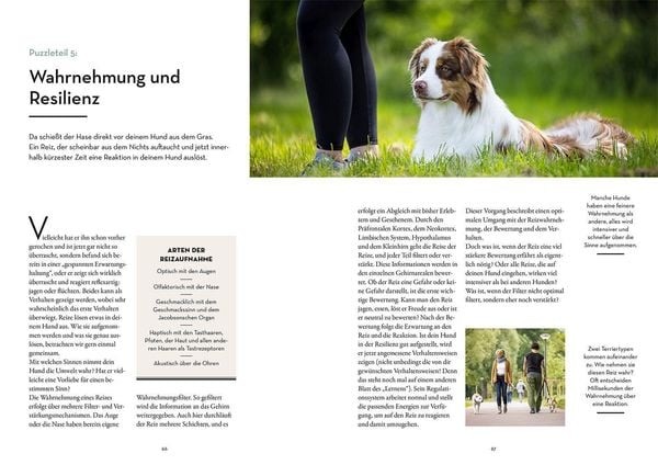 Produktbild: Resilienz bei Hunden
