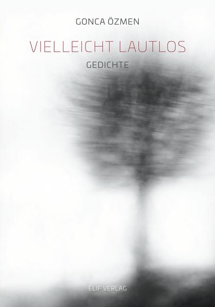 Produktbild: Vielleicht Lautlos