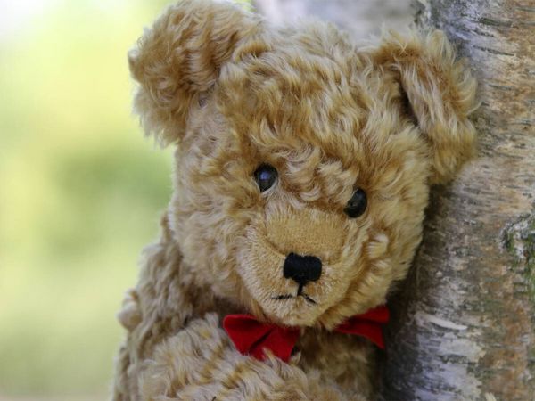 Produktbild: CALVENDO Puzzle Teddy | 1000 Teile Lege-Gr&ouml;&szlig;e 64x48cm Foto-Puzzle f&uuml;r gl&uuml;ckliche Stunden