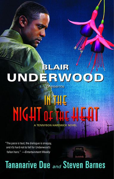 Produktbild: In the Night of the Heat