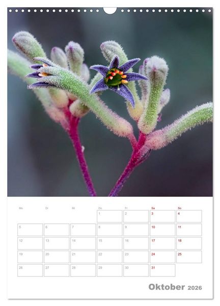 Produktbild: g'day Australien 2026 (Wandkalender 2026 DIN A3 hoch), CALVENDO Monatskalender