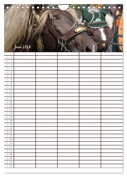 Produktbild: Der Kaltblut-Familienplaner (Wandkalender 2026 DIN A4 hoch), CALVENDO Monatskalender