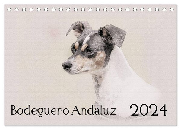 Bodeguero Andaluz 2024 (Tischkalender 2024 DIN A5 quer), CALVENDO Monatskalender