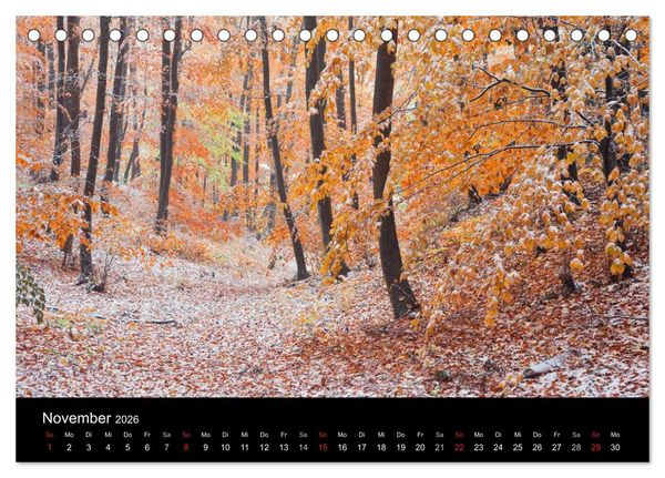 Produktbild: Landschaft im Licht (Tischkalender 2026 DIN A5 quer), CALVENDO Monatskalender