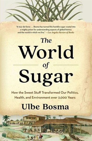 Produktbild: The World of Sugar