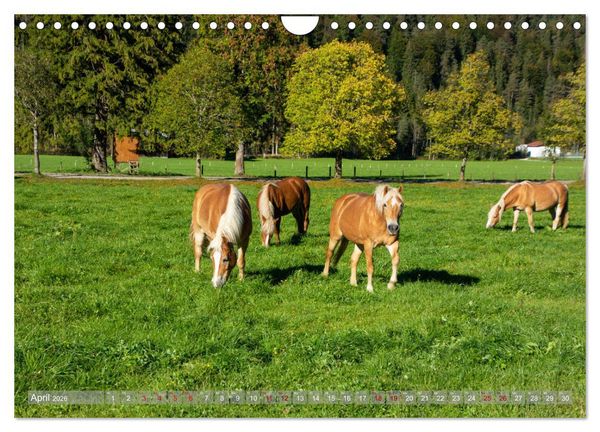 Produktbild: Achensee - im Herzen der Tiroler Alpen (Wandkalender 2026 DIN A4 quer), CALVENDO Monatskalender