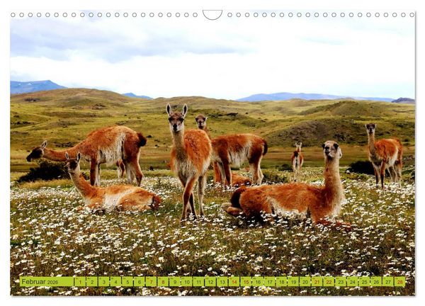 Produktbild: M&auml;rchenwelt Patagonien (Wandkalender 2026 DIN A3 quer), CALVENDO Monatskalender