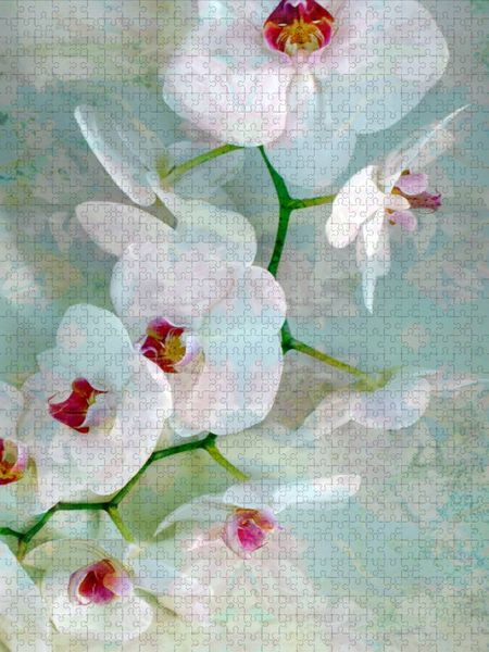 Produktbild: CALVENDO Puzzle Wei&szlig; Blaue Orchidee | 1000 Teile Lege-Gr&ouml;&szlig;e 64x48cm Foto-Puzzle f&uuml;r gl&uuml;ckliche Stunden