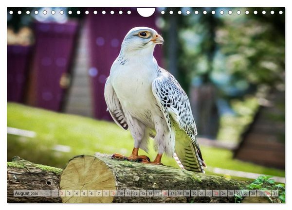 Produktbild: Faszinierende Greifv&ouml;gel hautnah (Wandkalender 2026 DIN A4 quer), CALVENDO Monatskalender