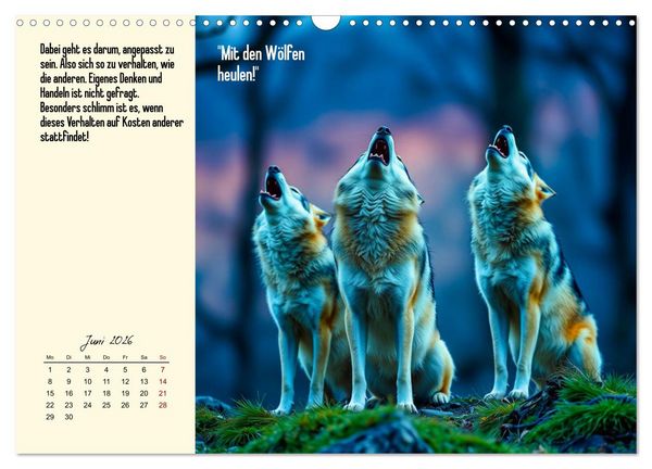 Produktbild: Illustrierte deutsche Redewendungen mit ihrer Bedeutung (Wandkalender 2026 DIN A3 quer), CALVENDO Monatskalender