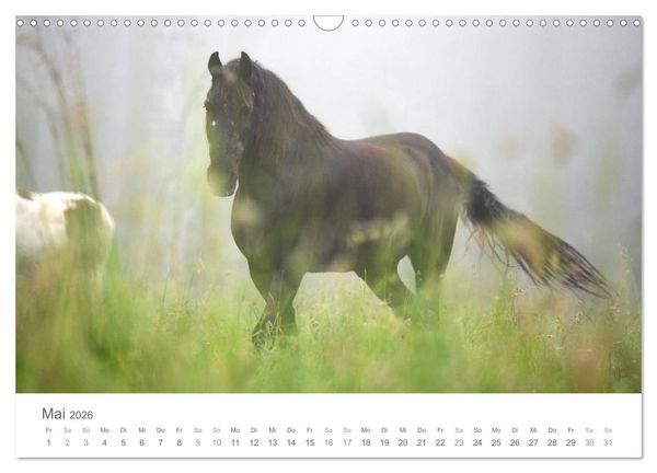 Produktbild: M&auml;rchenpferde (Wandkalender 2026 DIN A3 quer), CALVENDO Monatskalender