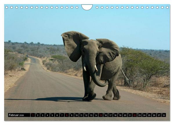 Produktbild: S&uuml;dafrika (Wandkalender 2026 DIN A4 quer), CALVENDO Monatskalender