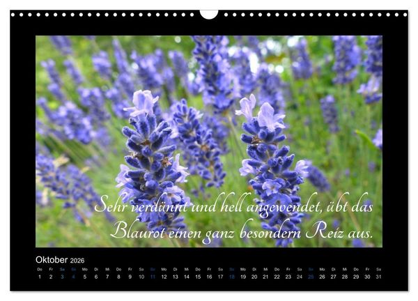 Produktbild: Goethes Blau. Gedanken zur Farbe (Wandkalender 2026 DIN A3 quer), CALVENDO Monatskalender