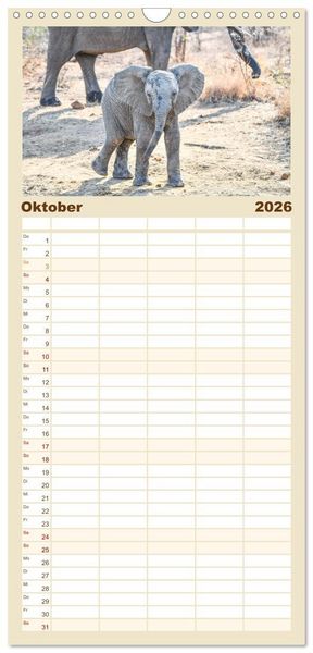 Produktbild: Familienplaner 2026 - Babyelefanten mit 5 Spalten (Wandkalender, 21 x 45 cm) CALVENDO