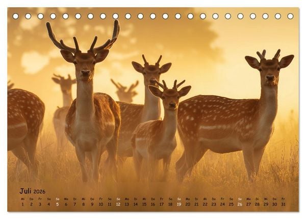 Produktbild: Jagd und Natur - Kalender f&uuml;r J&auml;ger mit Wildtieren Deutschlands im Jahreslauf (Tischkalender 2026 DIN A5 quer), CALVENDO Monatskalender