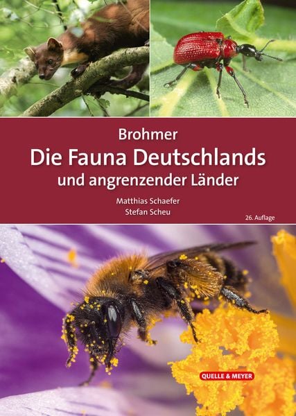 Produktbild: Brohmer &ndash; Die Fauna Deutschlands und angrenzender L&auml;nder