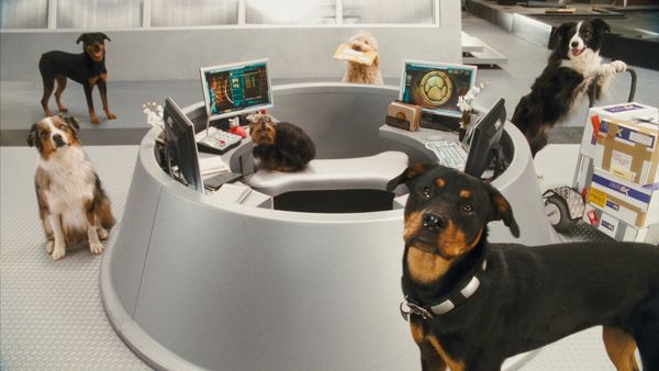 Produktbild: Cats & Dogs - Die Rache der Kitty Kahlohr (inkl. Digital Copy)
