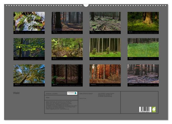 Produktbild: Wald (Wandkalender 2026 DIN A2 quer), CALVENDO Monatskalender