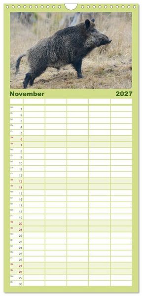 Produktbild: Familienplaner 2027 - Wildschweine &ndash; Wildlife Fotografien mit 5 Spalten (Wandkalender, 21 x 45 cm) CALVENDO
