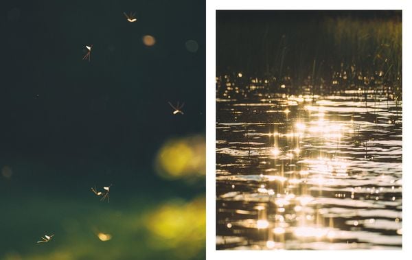Produktbild: Nordic Feeling