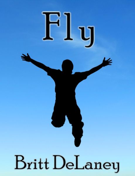 Produktbild: Fly