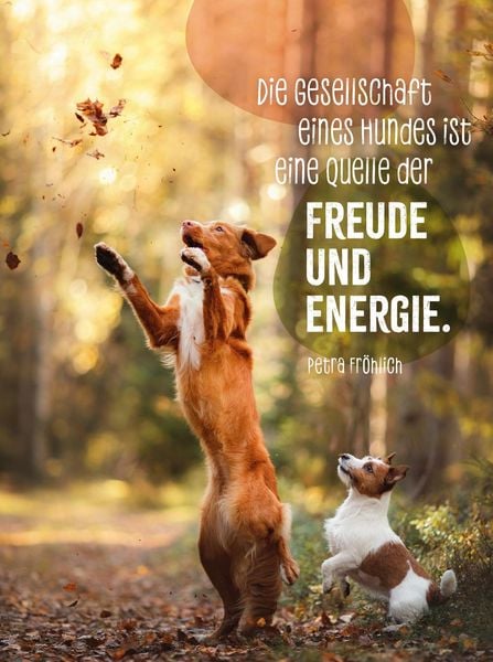 Produktbild: Hunde sind die besten Freunde