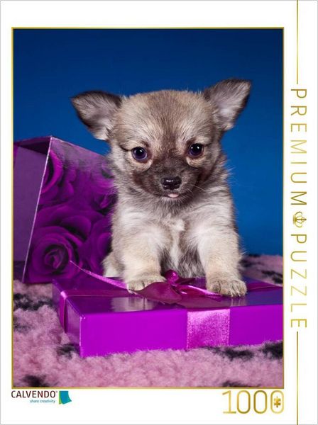 Produktbild: CALVENDO Puzzle Ein Motiv aus dem Kalender Chihuahua Welpen | 1000 Teile Lege-Gr&ouml;&szlig;e 64x48cm Foto-Puzzle f&uuml;r gl&uuml;ckliche Stunden