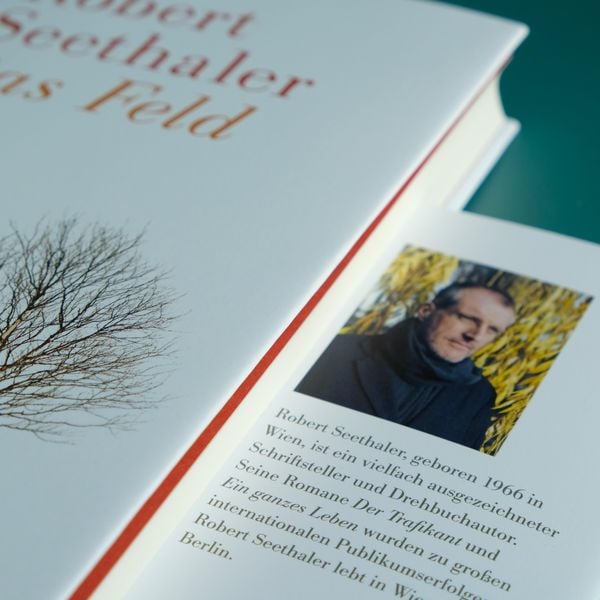 Produktbild: Das Feld
