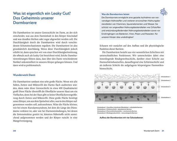 Produktbild: Leaky Gut und SIBO