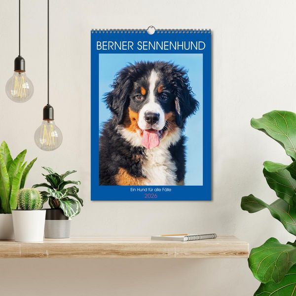 Produktbild: Berner Sennenhund - Ein Hund f&uuml;r alle F&auml;lle (Wandkalender 2026 DIN A3 hoch), CALVENDO Monatskalender