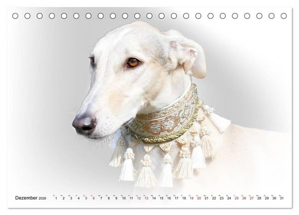 Produktbild: Windhund Portrait 2026 White Edition (Tischkalender 2026 DIN A5 quer), CALVENDO Monatskalender