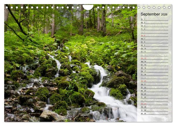 Produktbild: Oberallg&auml;uer Landschaft (Wandkalender 2026 DIN A4 quer), CALVENDO Monatskalender