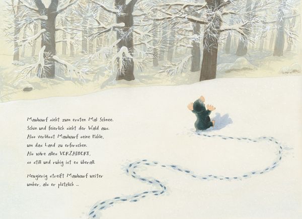Produktbild: Was glitzert da im Schnee?