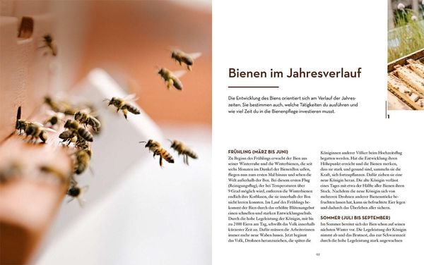 Produktbild: Bienen halten mit der BienenBox
