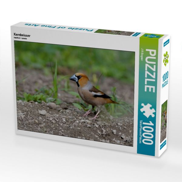 Produktbild: CALVENDO Puzzle Kernbeisser 1000 Teile Puzzle quer | 1000 Teile Lege-Gr&ouml;&szlig;e 64 &times; 48 cm Foto-Puzzle f&uuml;r gl&uuml;ckliche Stunden