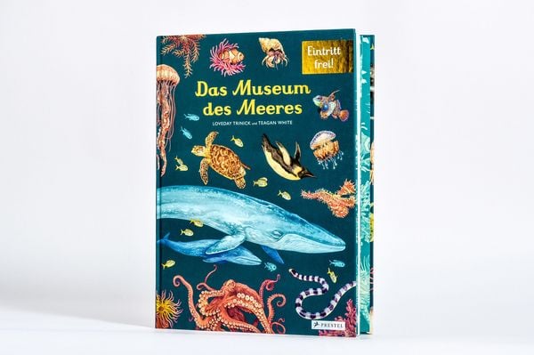Produktbild: Das Museum des Meeres