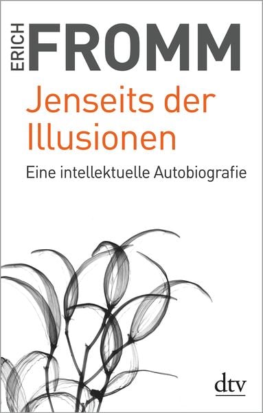 Produktbild: Jenseits der Illusionen