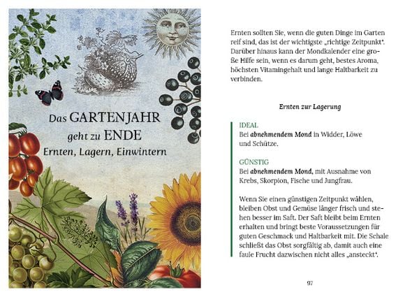 Produktbild: Gärtnern mit der Kraft des Mondes