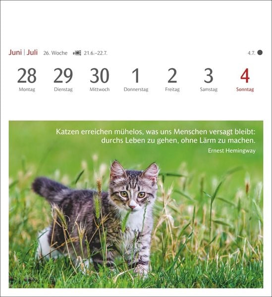 Produktbild: Momente des Gl&uuml;cks Postkartenkalender 2027 - Wochenkalender mit Zitaten, mit 53 Postkarten