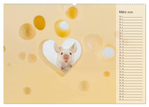 Produktbild: Tage von Herzen (hochwertiger Premium Wandkalender 2026 DIN A2 quer), Kunstdruck in Hochglanz