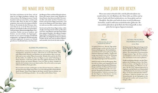 Produktbild: Die Magie der Natur: Hexenkr&auml;uter im Hochbeet