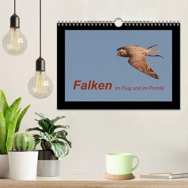 Produktbild: Falken im Flug und im Portr&auml;t (Wandkalender 2026 DIN A4 quer), CALVENDO Monatskalender